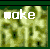 wake