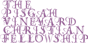 The Pisgah Vineyard Christian Fellowship